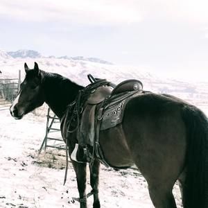 Meet your Posher, Diana